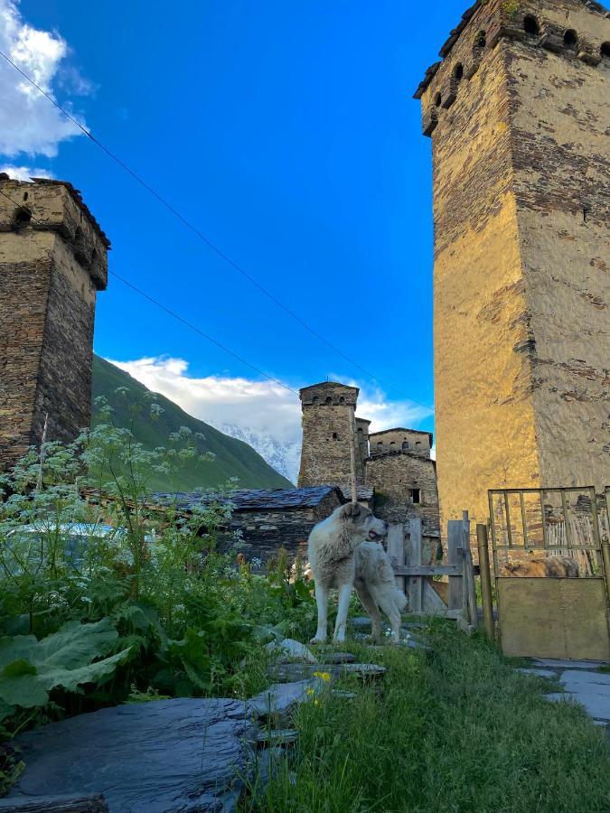 Hotel Nizharadze'S Tower Ushguli Exterior foto