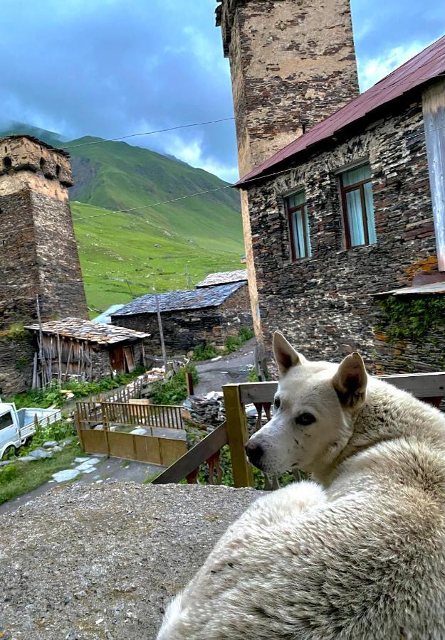 Hotel Nizharadze'S Tower Ushguli Exterior foto